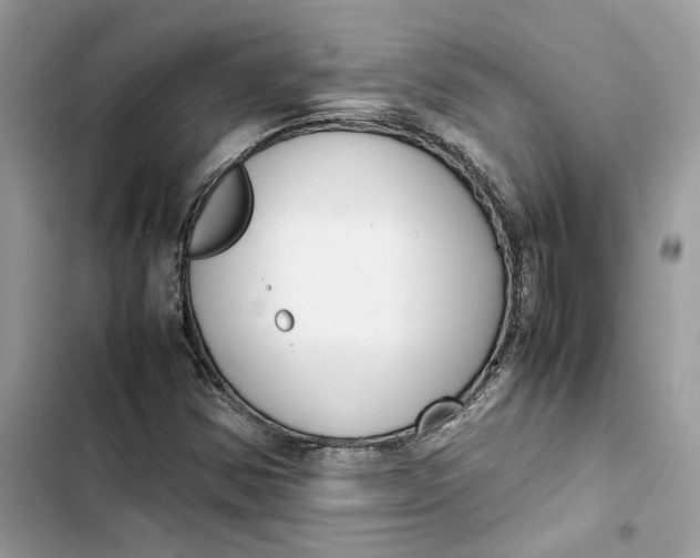 X0000103411354200810031237