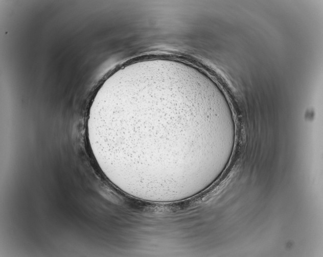 X0000103411355200810031237