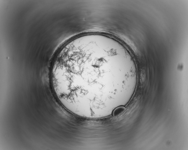 X0000103411356200810031237