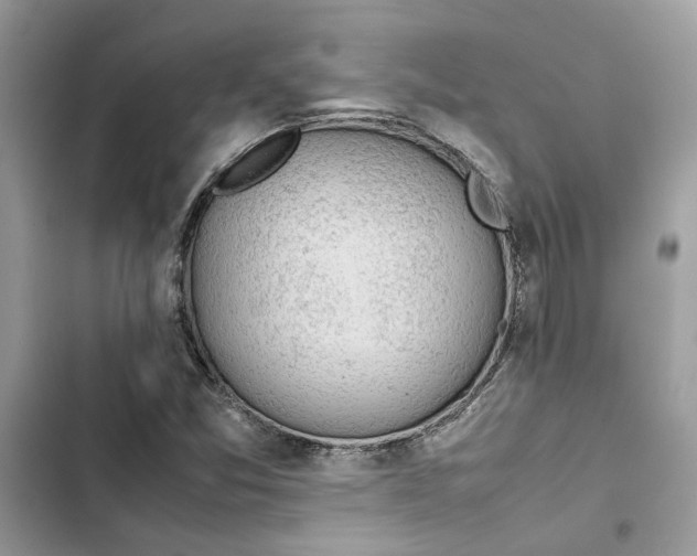 X0000103411357200810031237