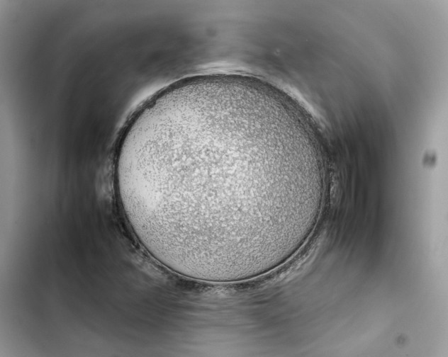 X0000103411358200810031237