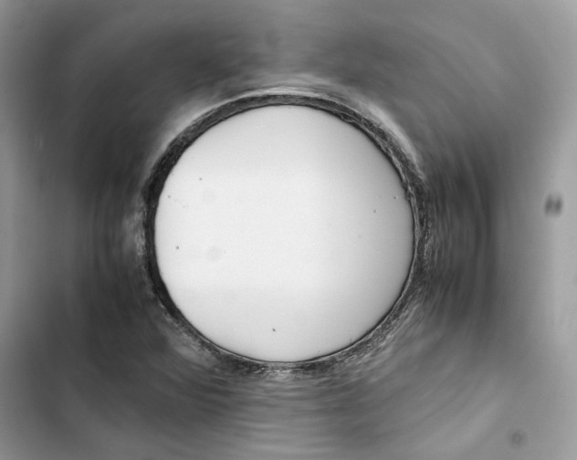 X0000103411360200810031237