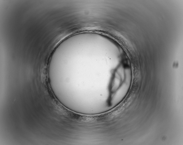 X0000103411361200810031237