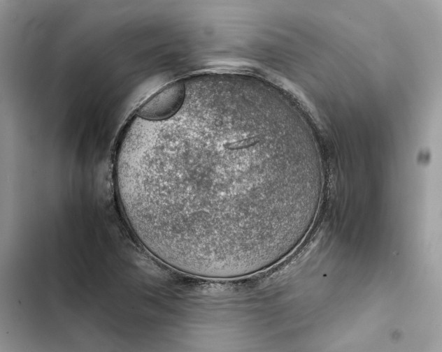 X0000103411362200810031237