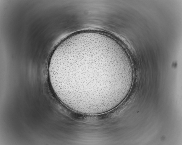 X0000103411363200810031237