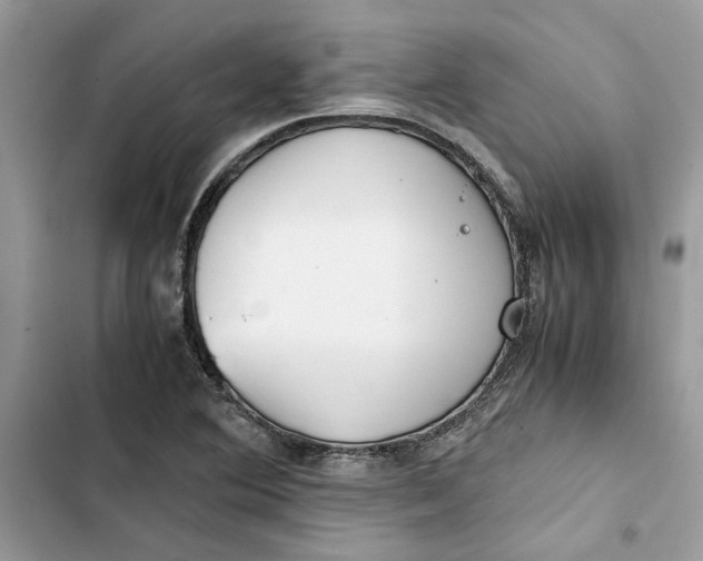 X0000103411364200810031237