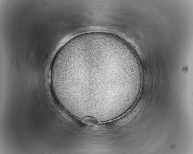 X0000103411365200810031237