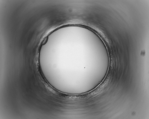 X0000103411366200810031237