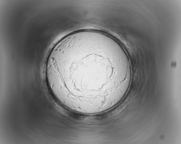 X0000103411367200810031237