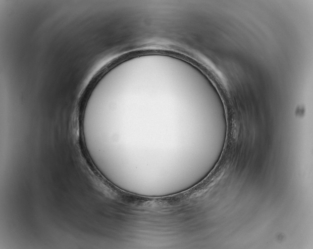 X0000103411368200810031237