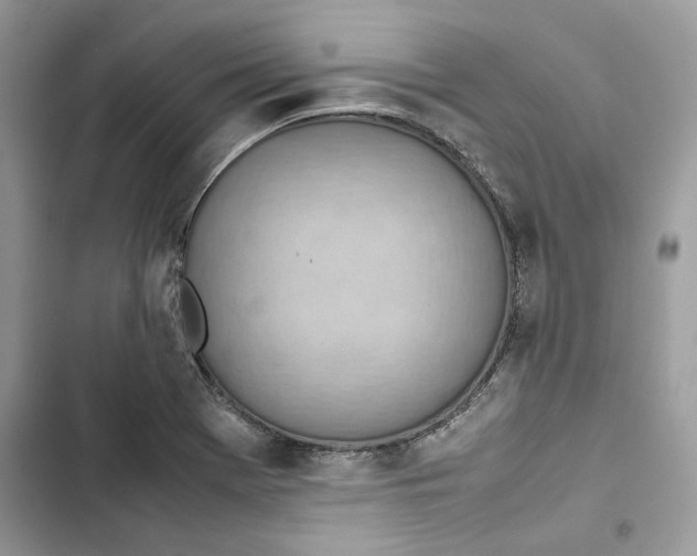 X0000103411369200810031237