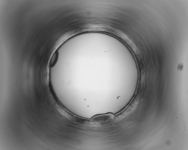 X0000103411370200810031237