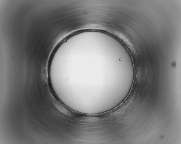 X0000103411372200810031237