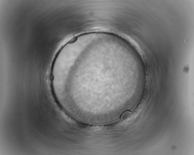 X0000103411373200810031237