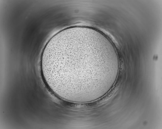 X0000103411375200810031237