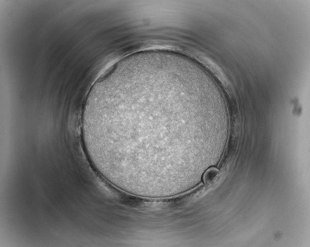 X0000103411377200810031237