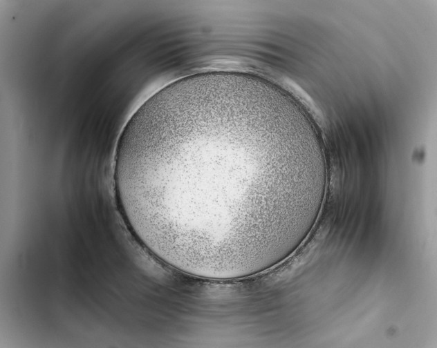 X0000103411378200810031237