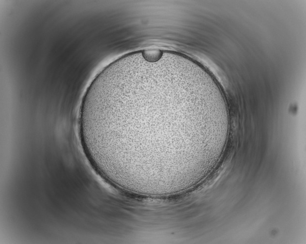 X0000103411379200810031236