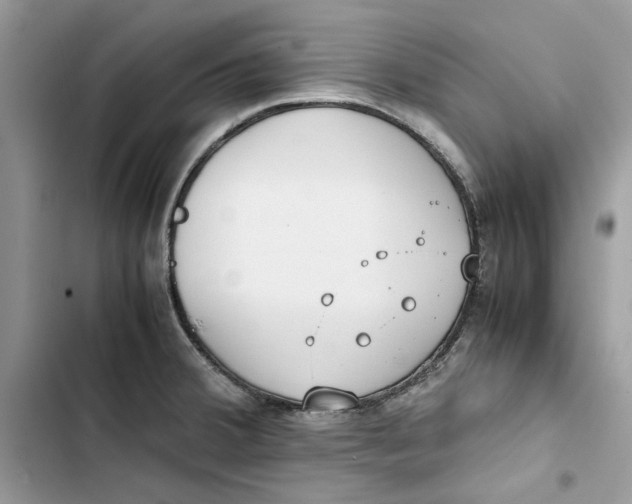 X0000103411380200810031236