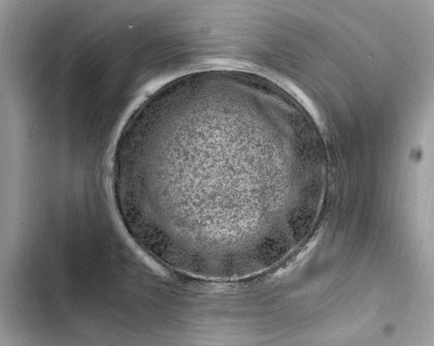 X0000103411381200810031236