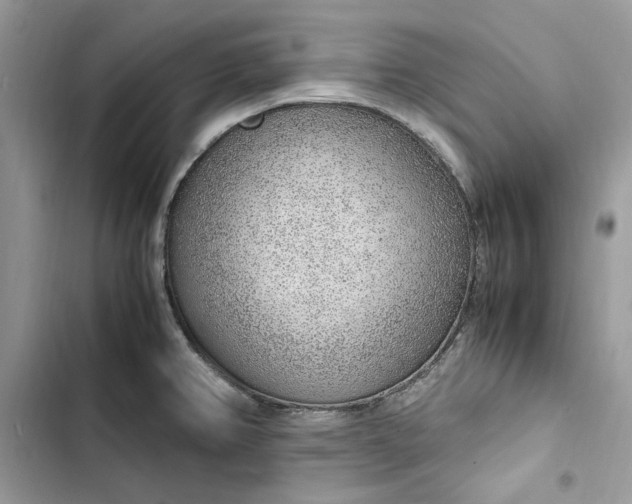 X0000103411382200810031236