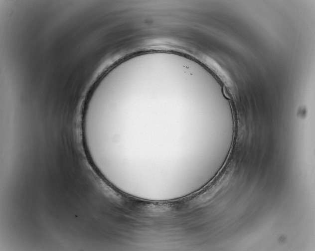 X0000103411384200810031236