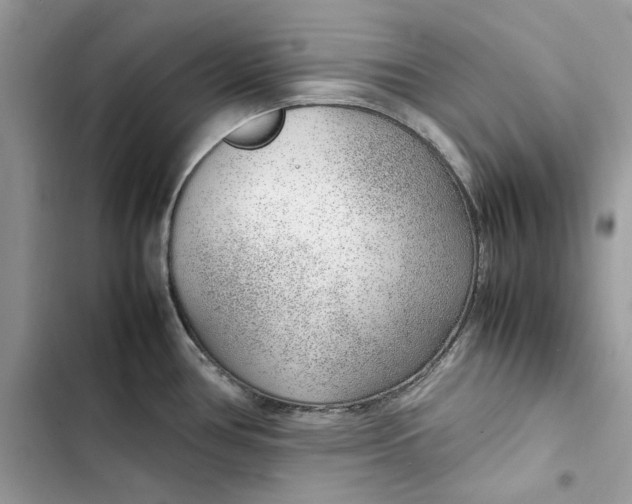 X0000103411386200810031236