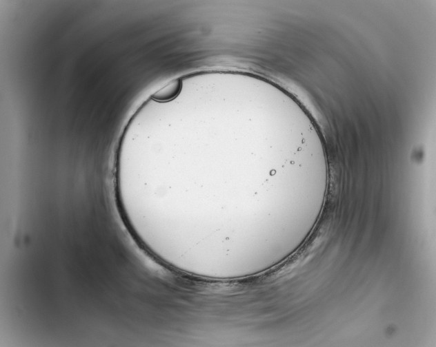 X0000103411387200810031236