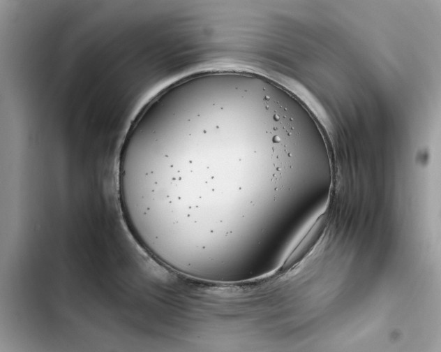 X0000103411388200810031236