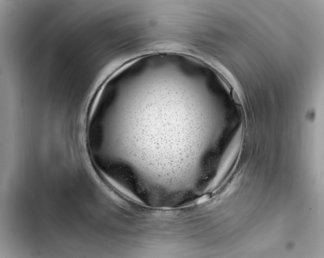 X0000103411389200810031236