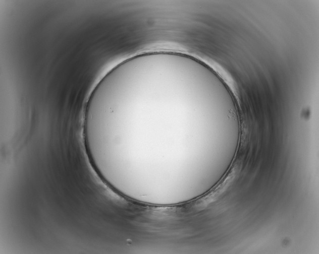 X0000103411390200810031236