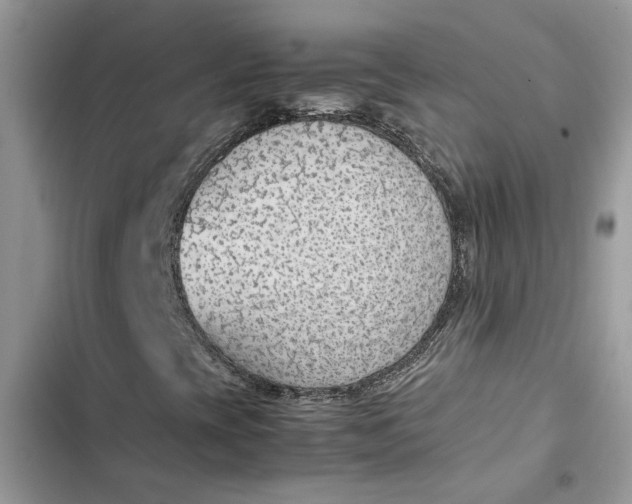 X0000103411393200810031236