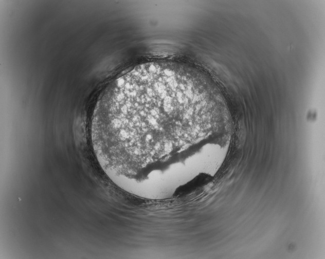 X0000103411394200810031236