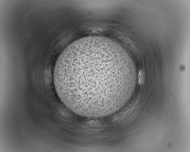 X0000103411395200810031236