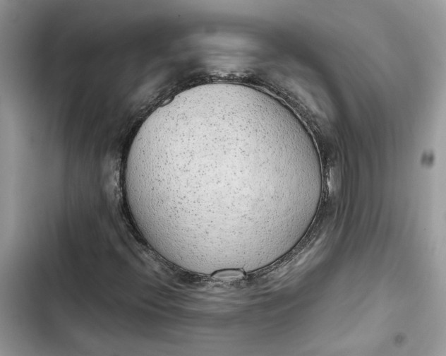 X0000103411396200810031236