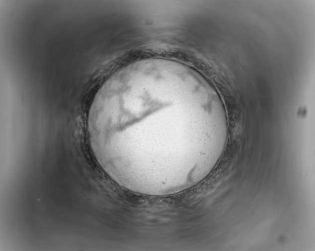 X0000103411397200810031236