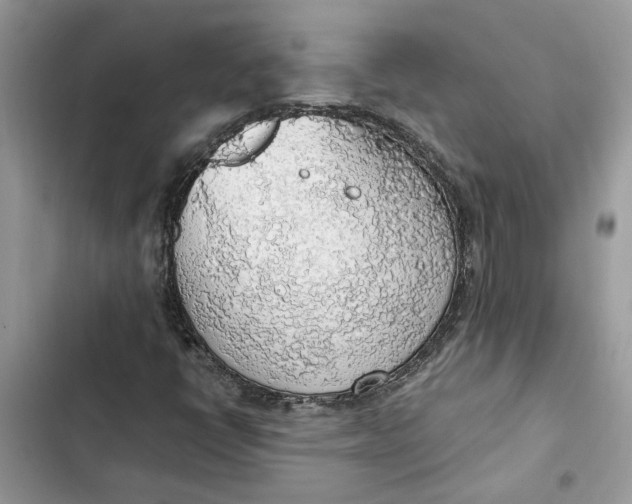 X0000103411398200810031236