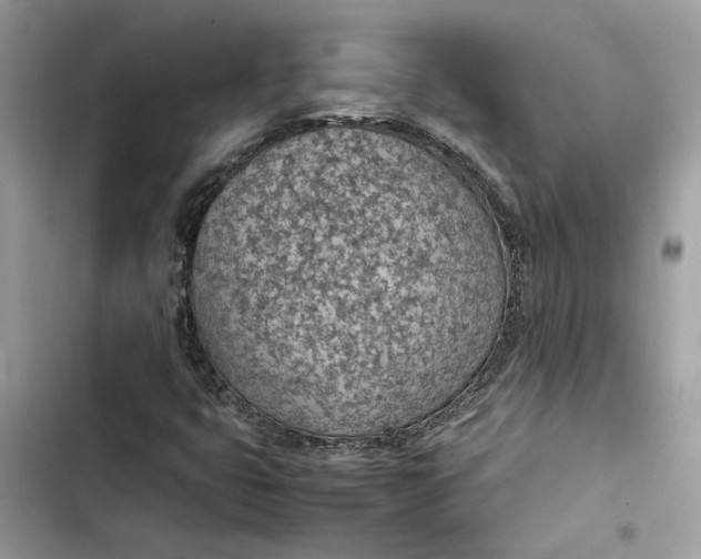 X0000103411399200810031236