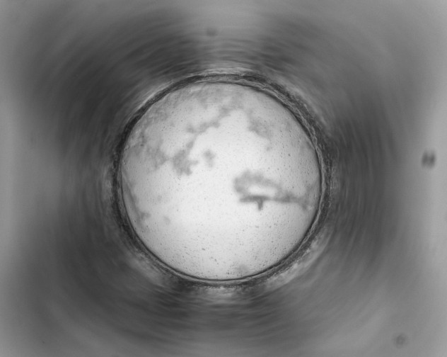 X0000103411401200810031236