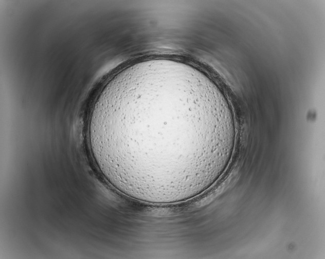 X0000103411402200810031236