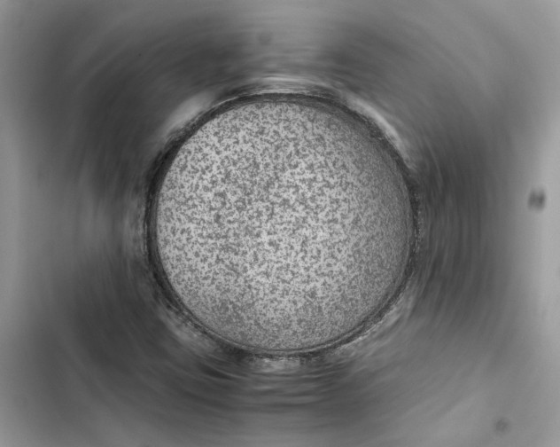 X0000103411403200810031236