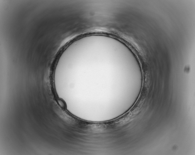 X0000103411404200810031236