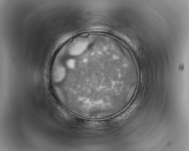 X0000103411405200810031236