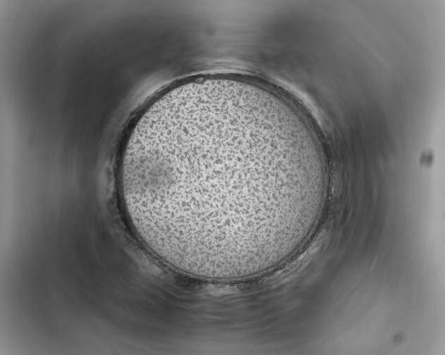 X0000103411407200810031236