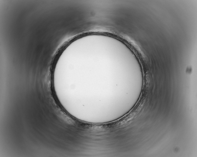 X0000103411408200810031236