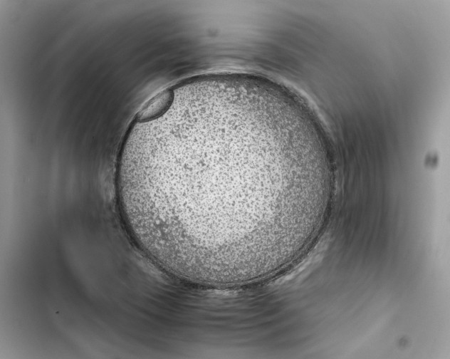 X0000103411409200810031236