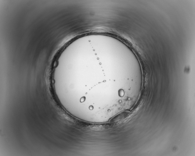 X0000103411410200810031236