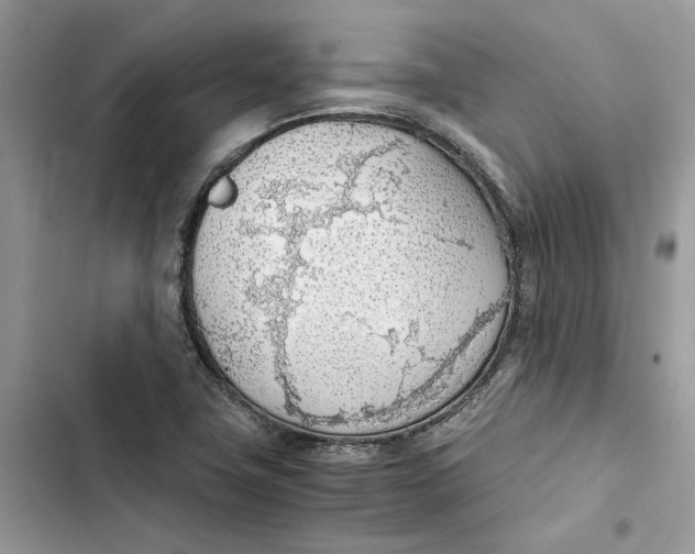 X0000103411411200810031236