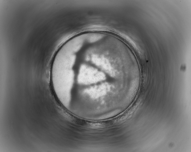 X0000103411413200810031236