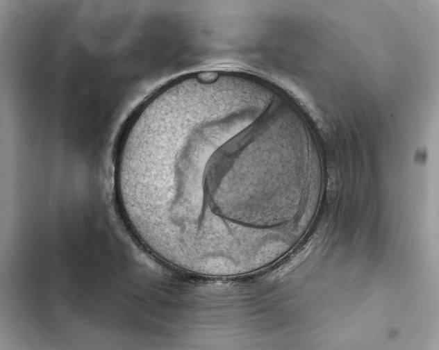 X0000103411414200810031236